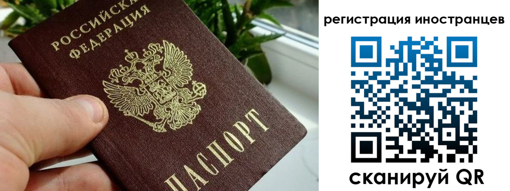 регистрация в Выксе